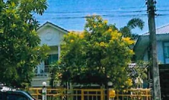 รูปที่ดินพร้อมสิ่งปลูกสร้าง ลาดสวาย ลำลูกกา ปทุมธานี