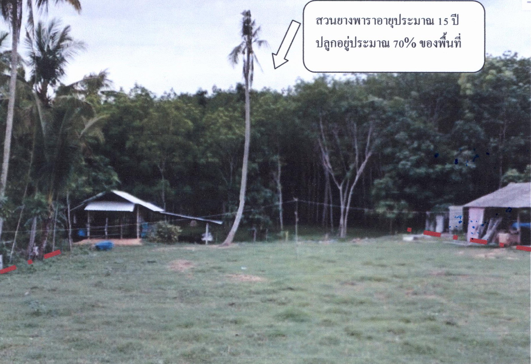 รูปที่ดินว่างเปล่า คูหาใต้ รัตภูมิ สงขลา