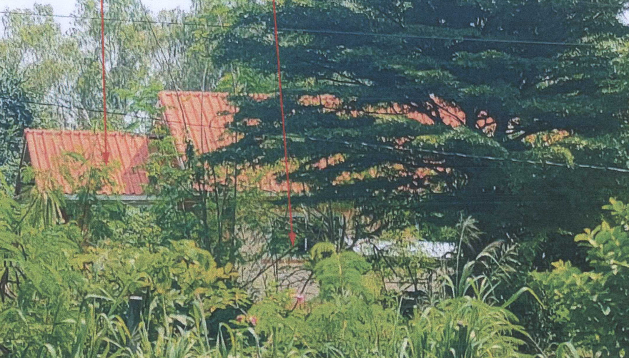 รูปที่ดินพร้อมสิ่งปลูกสร้าง โนนไทย โนนไทย นครราชสีมา