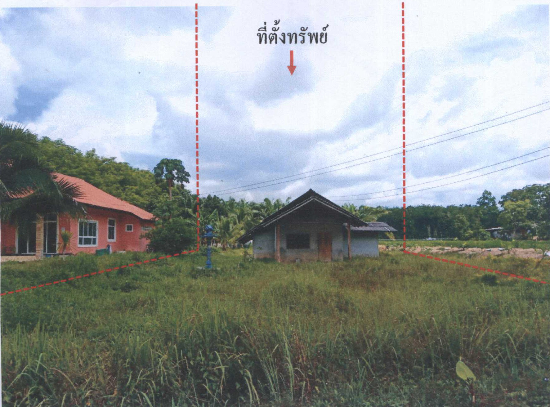 รูปที่ดินพร้อมสิ่งปลูกสร้าง นาไม้ไผ่ ทุ่งสง นครศรีธรรมราช