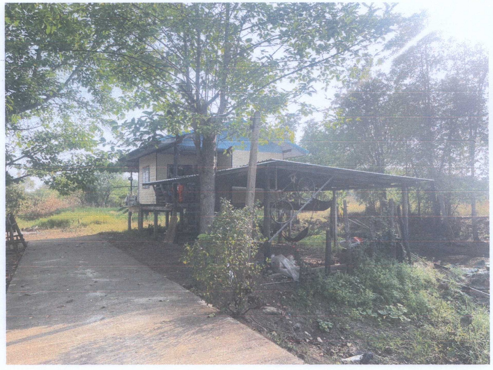 รูปที่ดินว่างเปล่า เนินมะกอก บางมูลนาก พิจิตร
