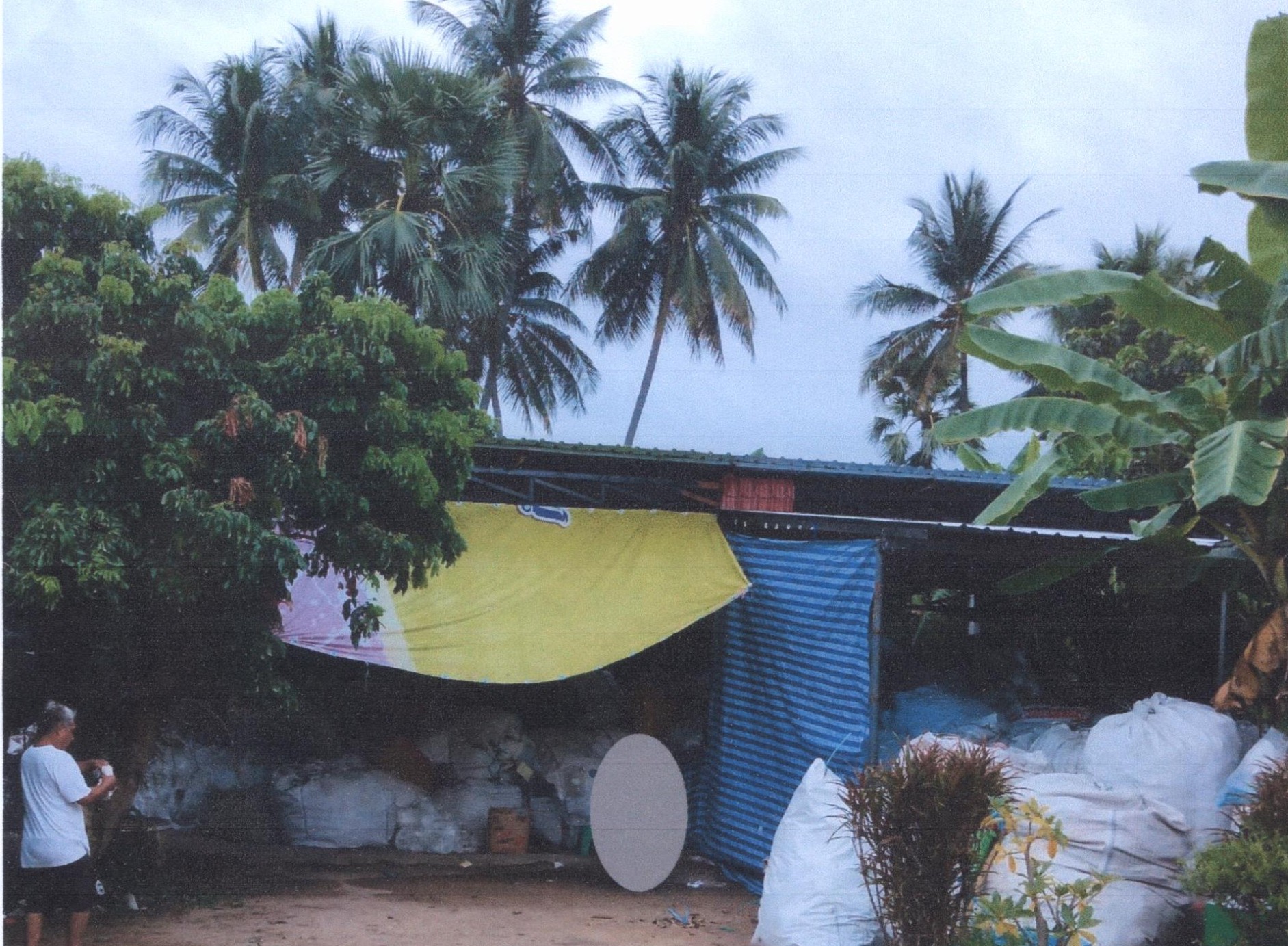 รูปที่ดินพร้อมสิ่งปลูกสร้าง บ้านแป้น เมืองลำพูน ลำพูน