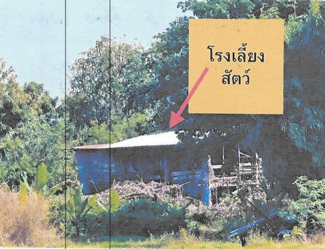 รูปที่ดินพร้อมสิ่งปลูกสร้าง ไร่พัฒนา มโนรมย์ ชัยนาท