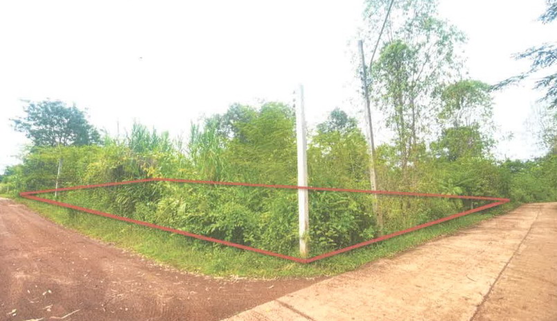 รูปที่ดินว่างเปล่า วานรนิวาส วานรนิวาส สกลนคร