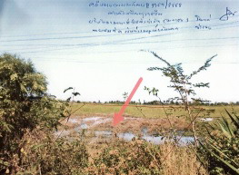 รูปที่ดินว่างเปล่า หนองสรวง ขามทะเลสอ นครราชสีมา