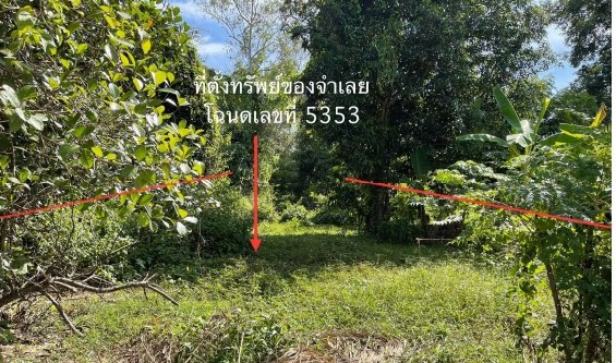 รูปที่ดินว่างเปล่า รัตนวาปี รัตนวาปี หนองคาย