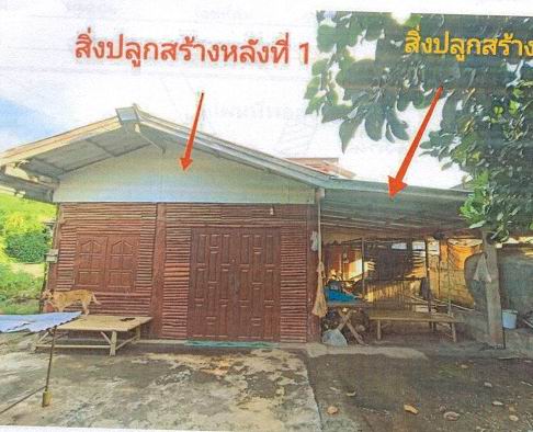 รูปที่ดินพร้อมสิ่งปลูกสร้าง สองคอน ฟากท่า อุตรดิตถ์