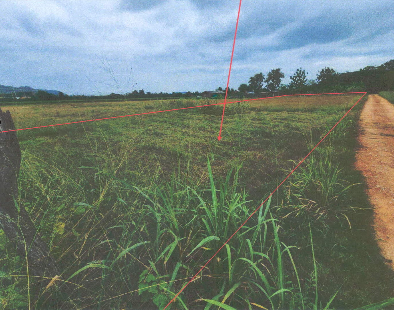 รูปที่ดินว่างเปล่า หนองบัว เมืองกาญจนบุรี กาญจนบุรี