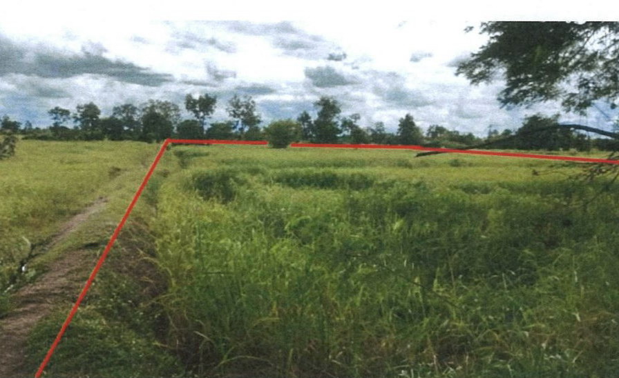 รูปที่ดินว่างเปล่า แมด อำเภอลืออำนาจ อำนาจเจริญ