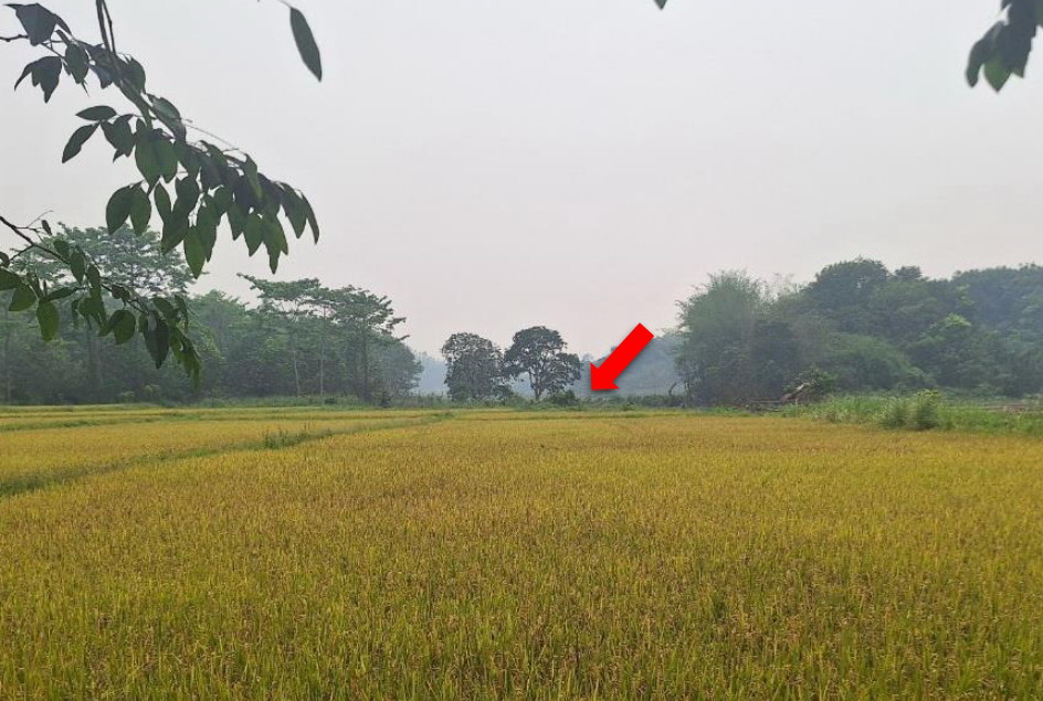 รูปที่ดินว่างเปล่า สันทราย แม่จัน เชียงราย