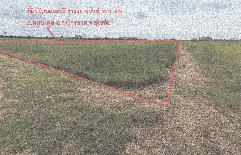 รูปที่ดินว่างเปล่า หนองตูม กงไกรลาศ สุโขทัย