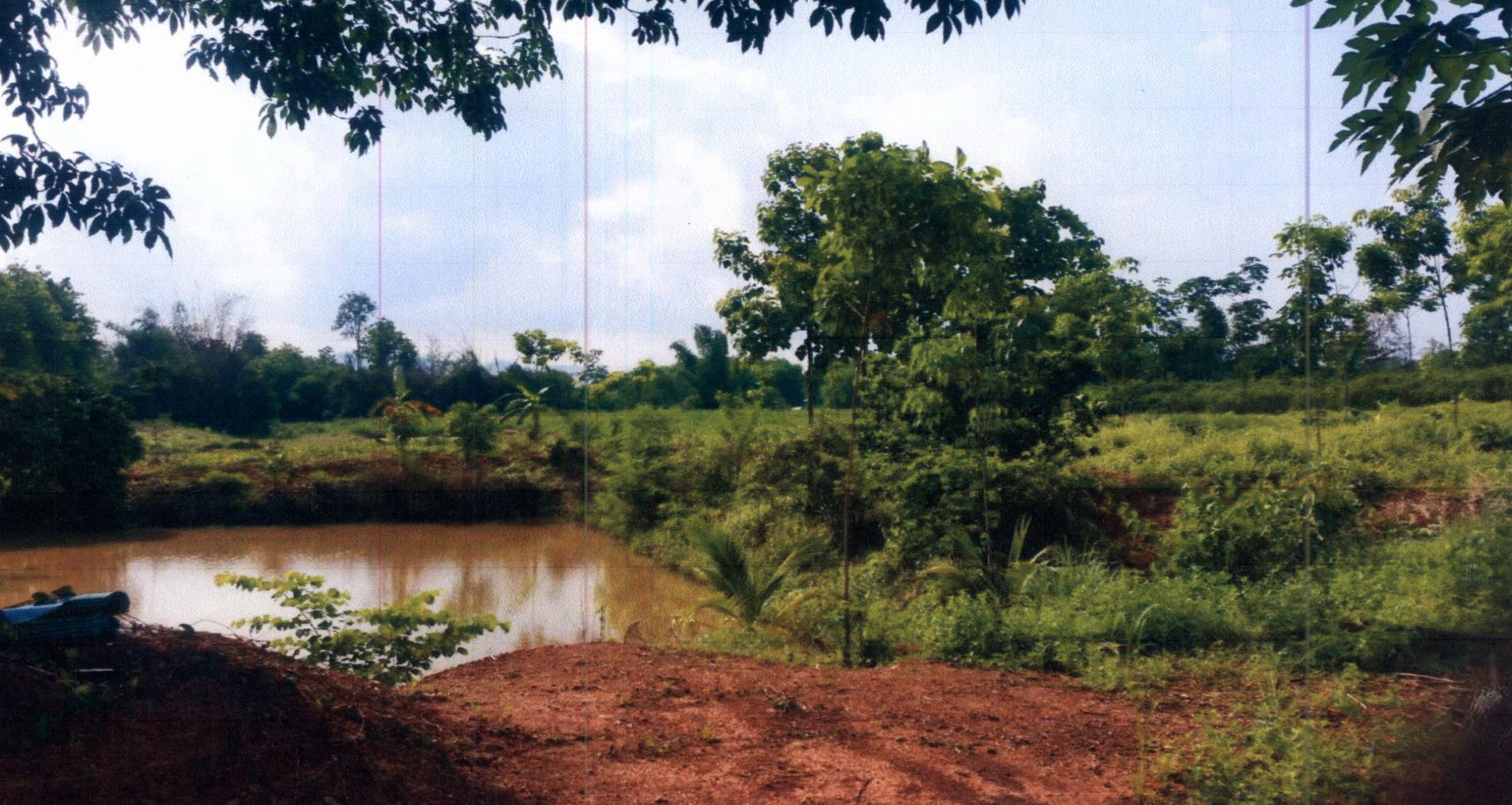 รูปที่ดินว่างเปล่า หนองผือ ท่าลี่ เลย