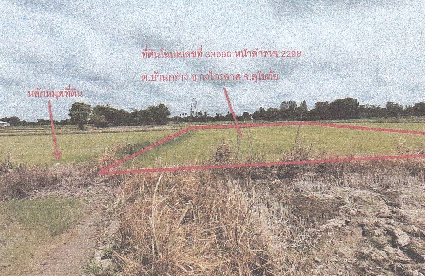 รูปที่ดินว่างเปล่า บ้านกร่าง กงไกรลาศ สุโขทัย
