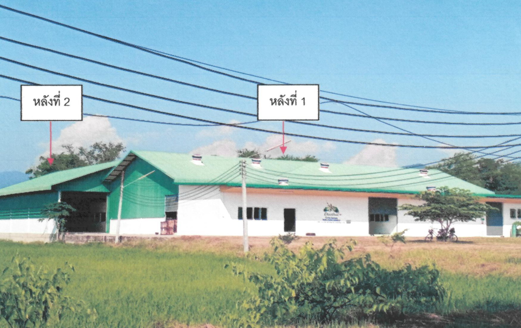 รูปที่ดินพร้อมสิ่งปลูกสร้าง ป่าตาล (เทิง)ขุนตาล เชียงราย