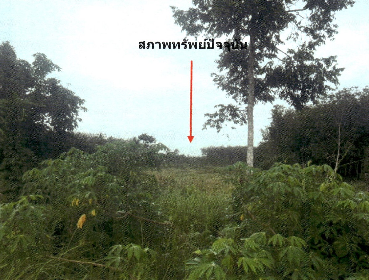 รูปที่ดินว่างเปล่า สะพานไม้แก่น จะนะ สงขลา