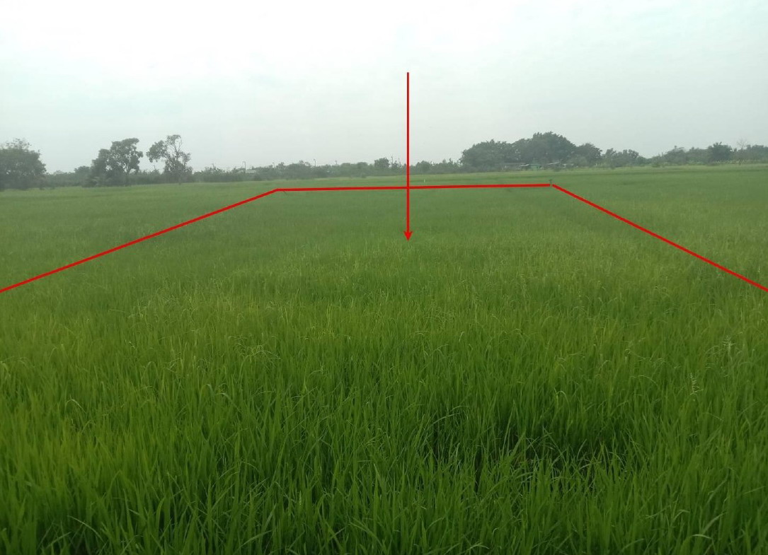 รูปที่ดินว่างเปล่า บึงกาสาม หนองเสือ ปทุมธานี