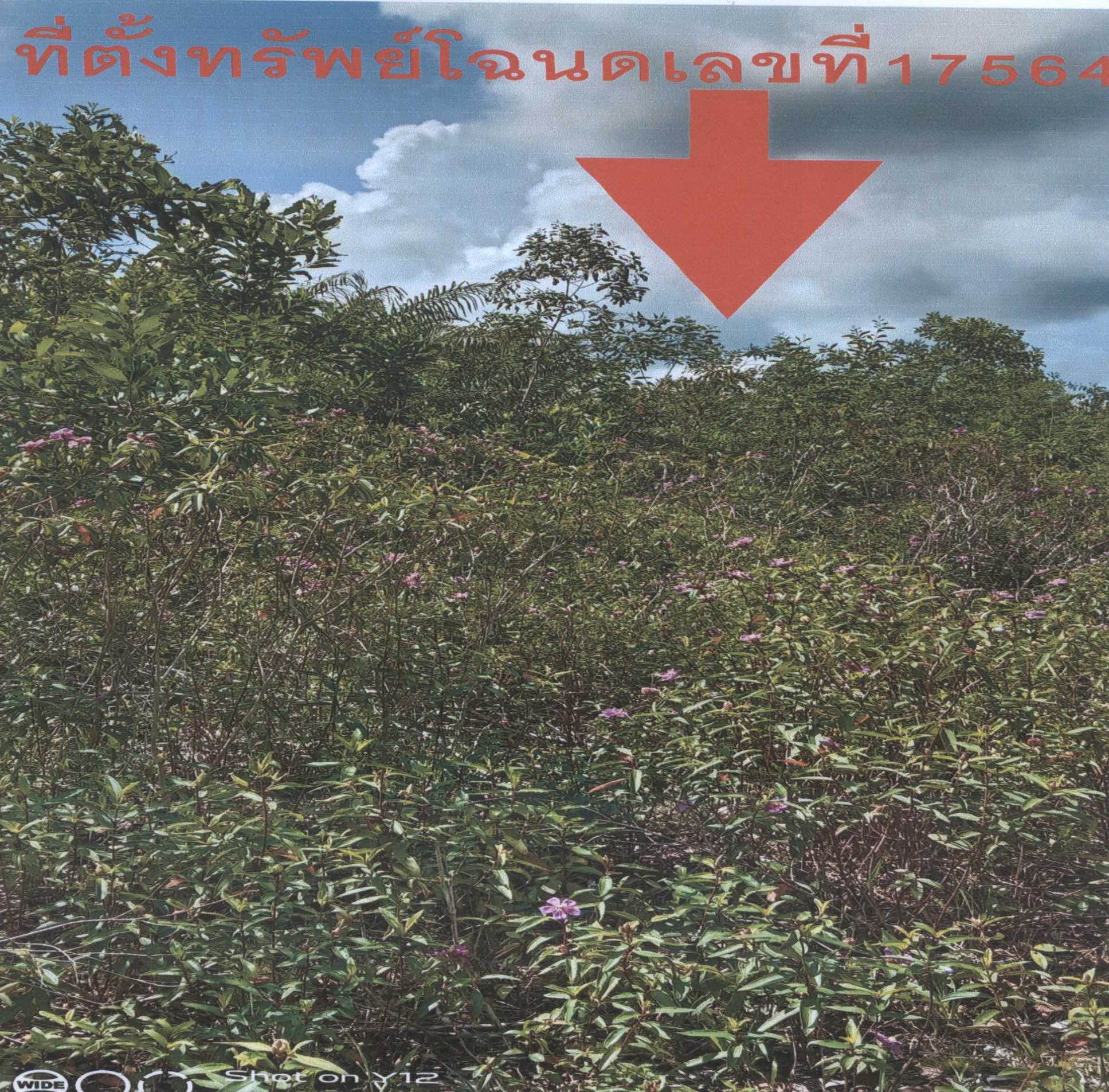 รูปที่ดินว่างเปล่า คลองขุด เมืองสตูล สตูล