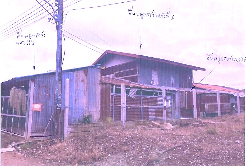 รูปที่ดินพร้อมสิ่งปลูกสร้าง สายคำโห้ เมืองพิจิตร พิจิตร