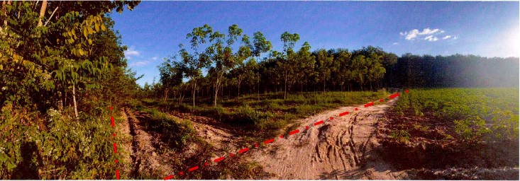 รูปที่ดินว่างเปล่า หนองบัวบาน หนองวัวซอ อุดรธานี