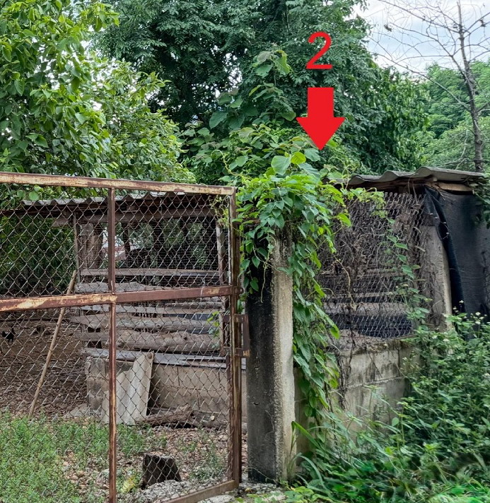 รูปที่ดินพร้อมสิ่งปลูกสร้าง บ้านมาง เชียงม่วน พะเยา