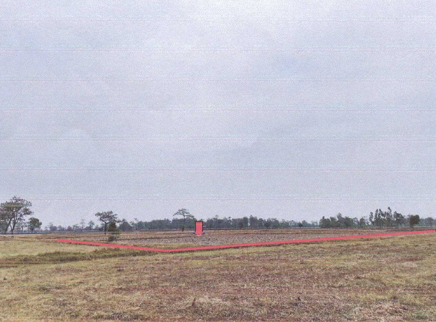 รูปที่ดินว่างเปล่า หนองบัวดง กิ่งอำเภอศิลาลาด ศรีสะเกษ