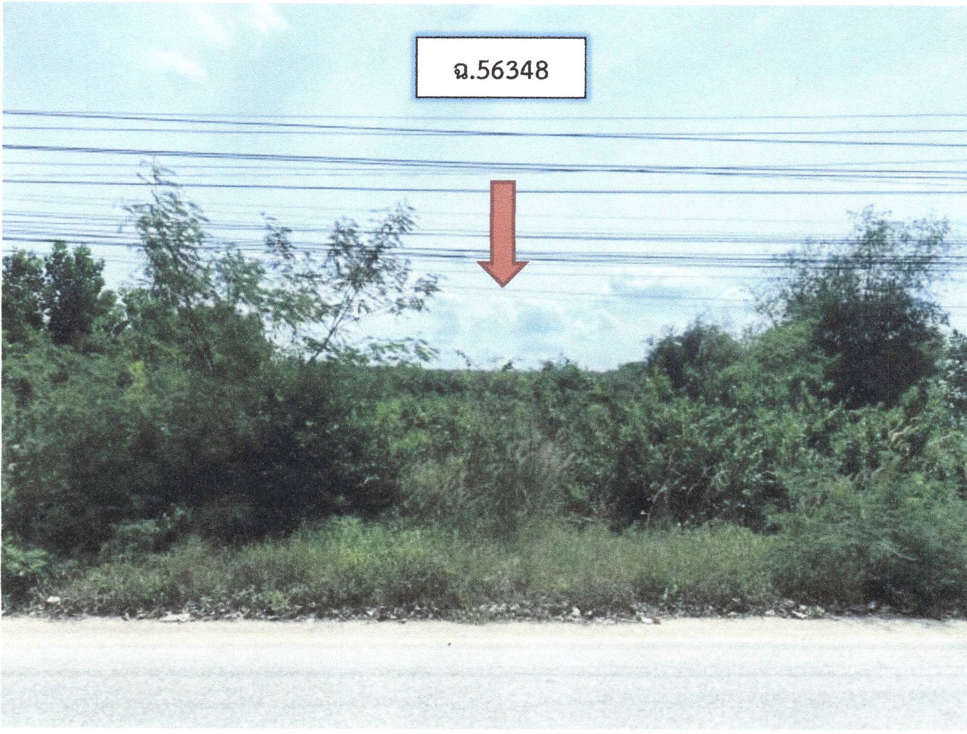 รูปที่ดินว่างเปล่า น้ำขาว จะนะ สงขลา