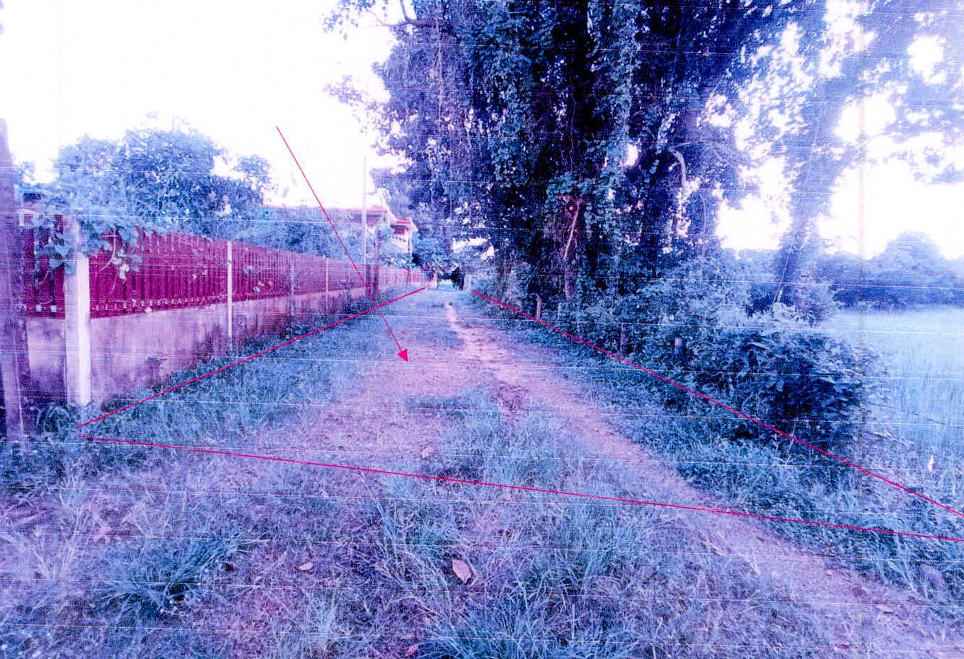 รูปที่ดินว่างเปล่า ดู่ กันทรารมย์ ศรีสะเกษ