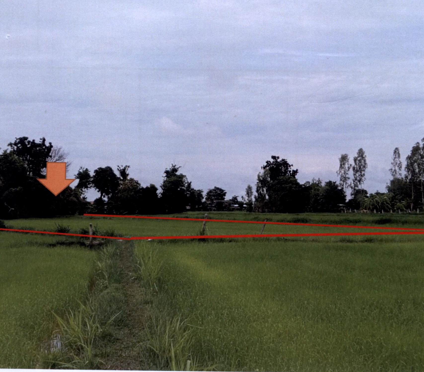 รูปที่ดินว่างเปล่า ศรีสุข สำโรงทาบ สุรินทร์