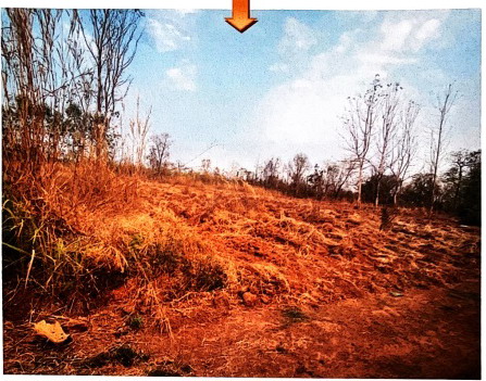 รูปที่ดินว่างเปล่า เจริญศิลป์ เจริญศิลป์ สกลนคร
