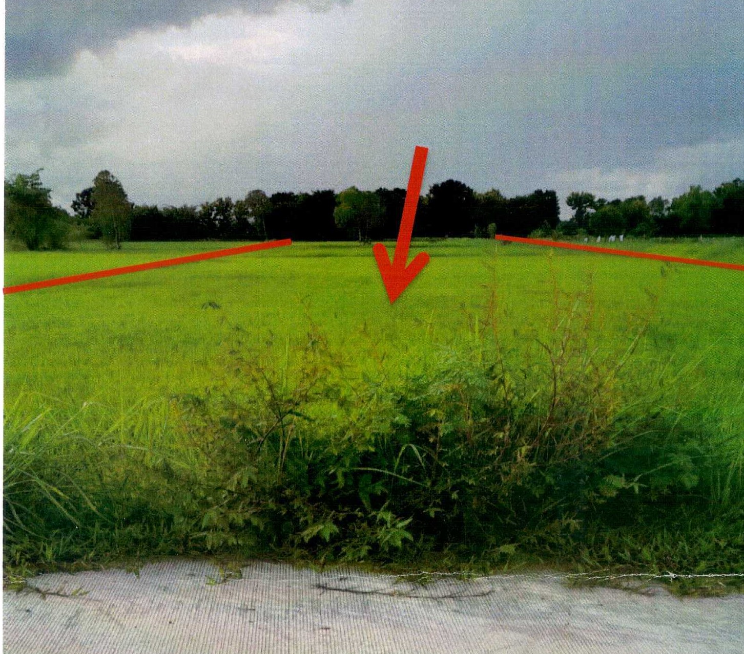 รูปที่ดินว่างเปล่า หินโงม เมืองหนองคาย หนองคาย