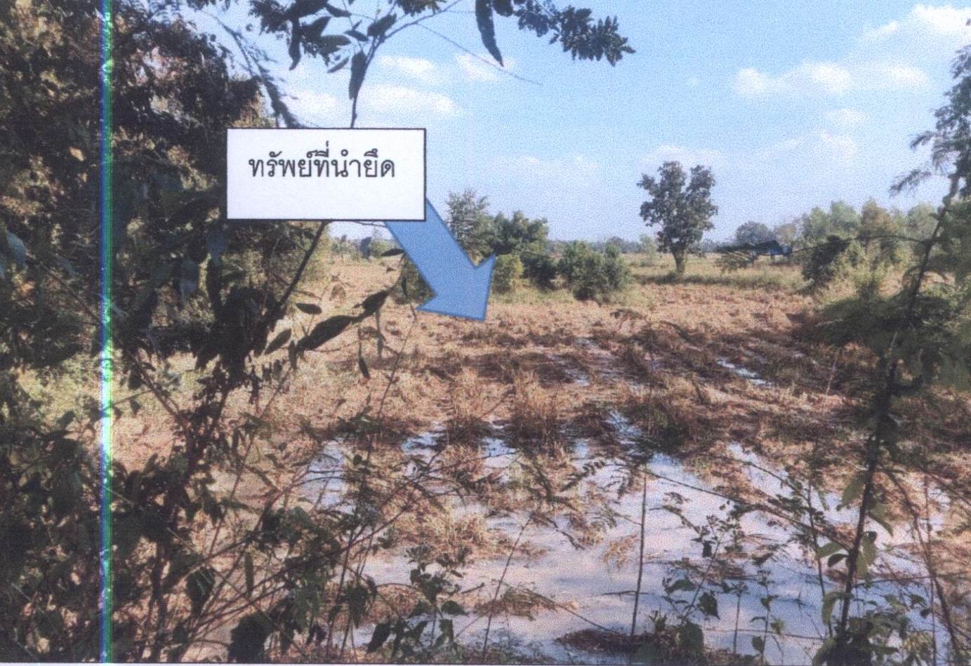 รูปที่ดินว่างเปล่า บ้านเป้า พุทไธสง บุรีรัมย์