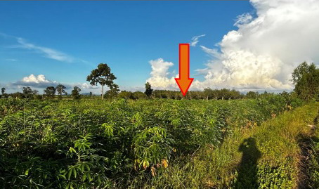 รูปที่ดินว่างเปล่า หนองช้าง สามชัย กาฬสินธุ์