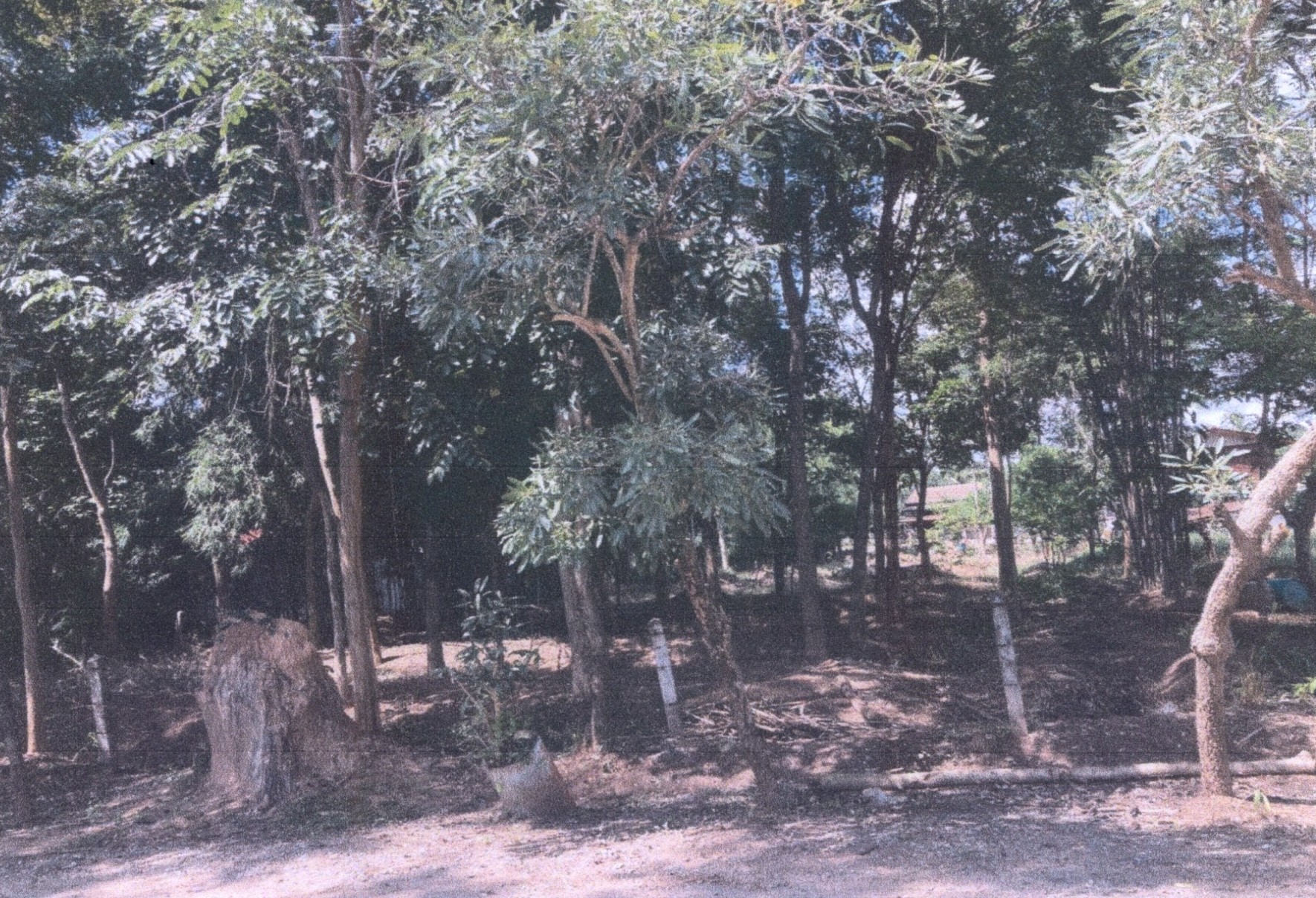รูปที่ดินว่างเปล่า เมืองพล พล ขอนแก่น