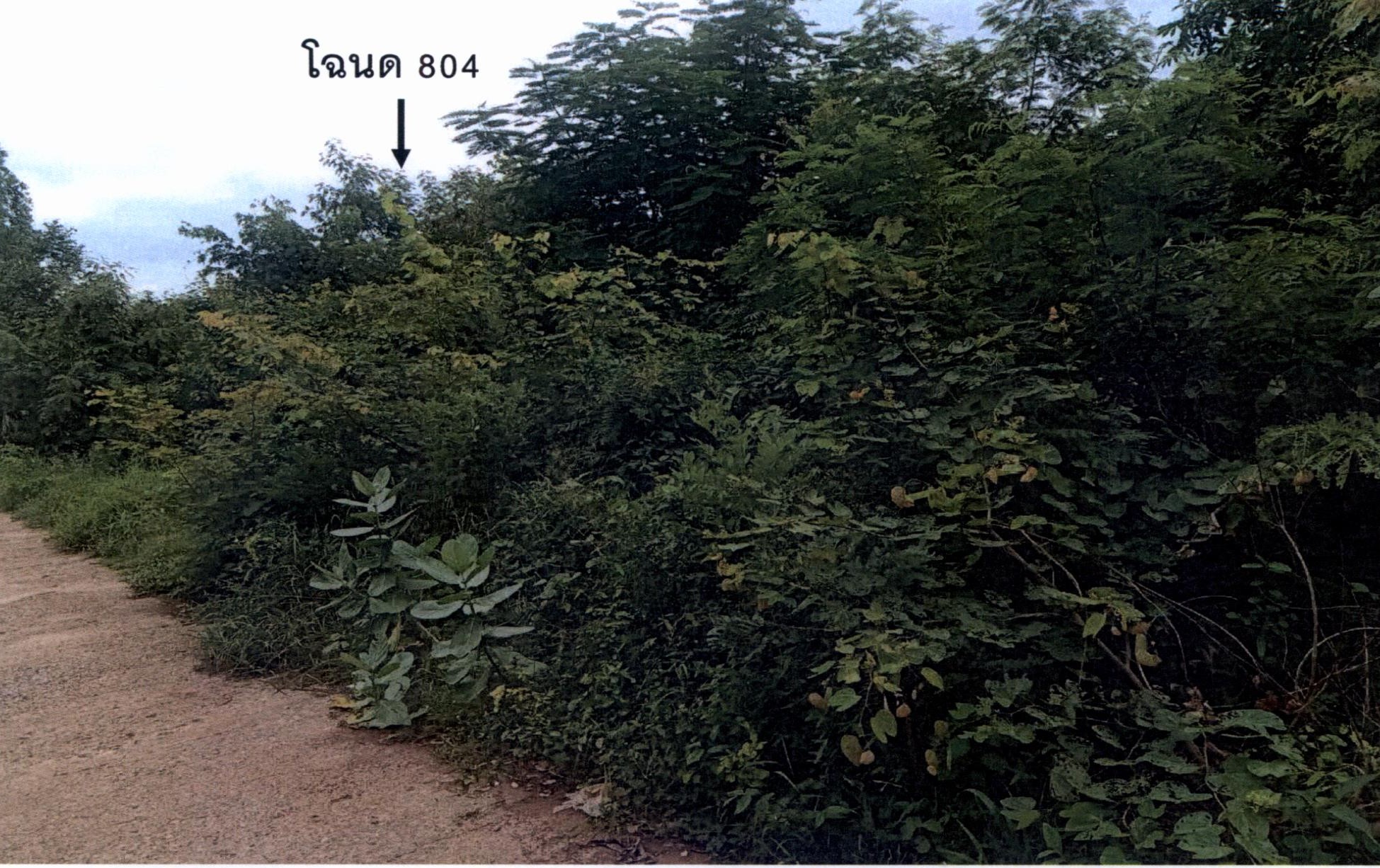 รูปที่ดินว่างเปล่า วังศาล วังโป่ง เพชรบูรณ์
