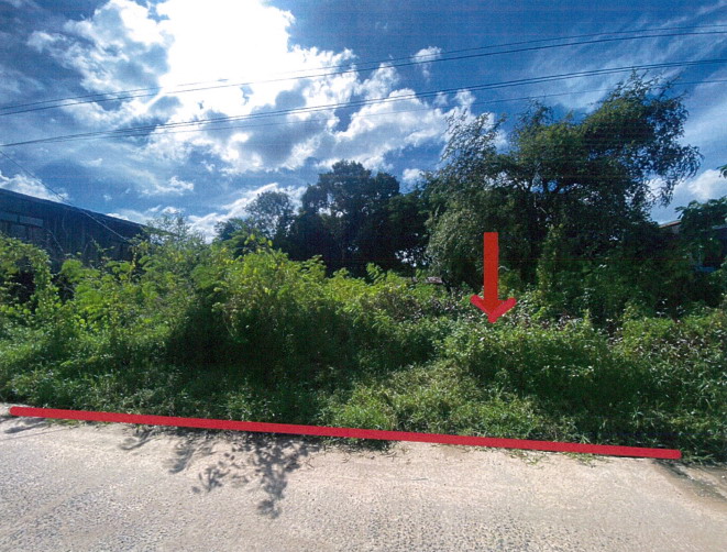 รูปที่ดินว่างเปล่า ยางสักกระโพหลุ่ม ม่วงสามสิบ อุบลราชธานี