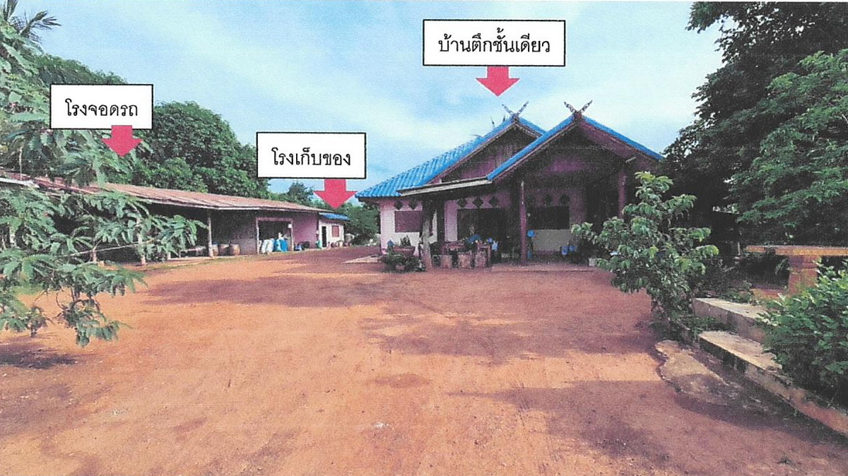 รูปที่ดินพร้อมสิ่งปลูกสร้าง เด่นใหญ่ (ไพรนกยุง) หันคา ชัยนาท