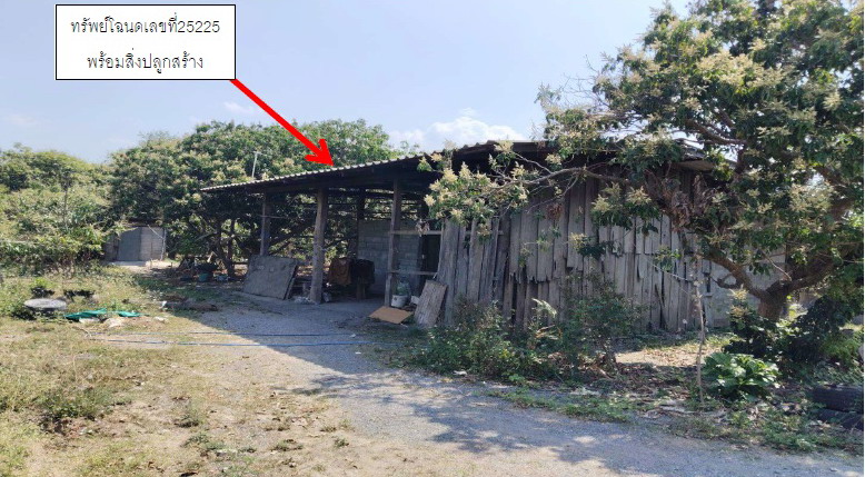 รูปที่ดินพร้อมสิ่งปลูกสร้าง บ้านโฮ่ง บ้านโฮ่ง ลำพูน