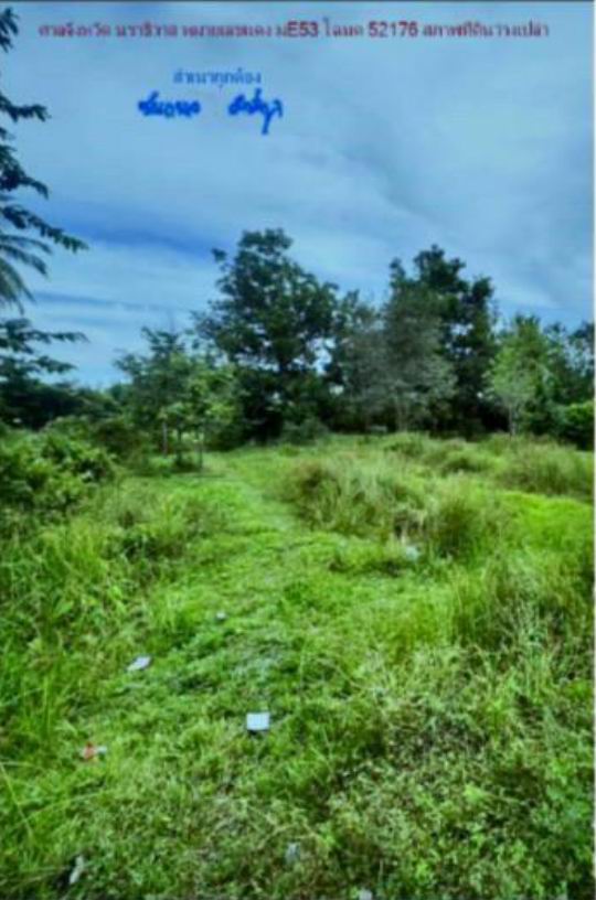 รูปที่ดินว่างเปล่า ลำภู เมืองนราธิวาส นราธิวาส