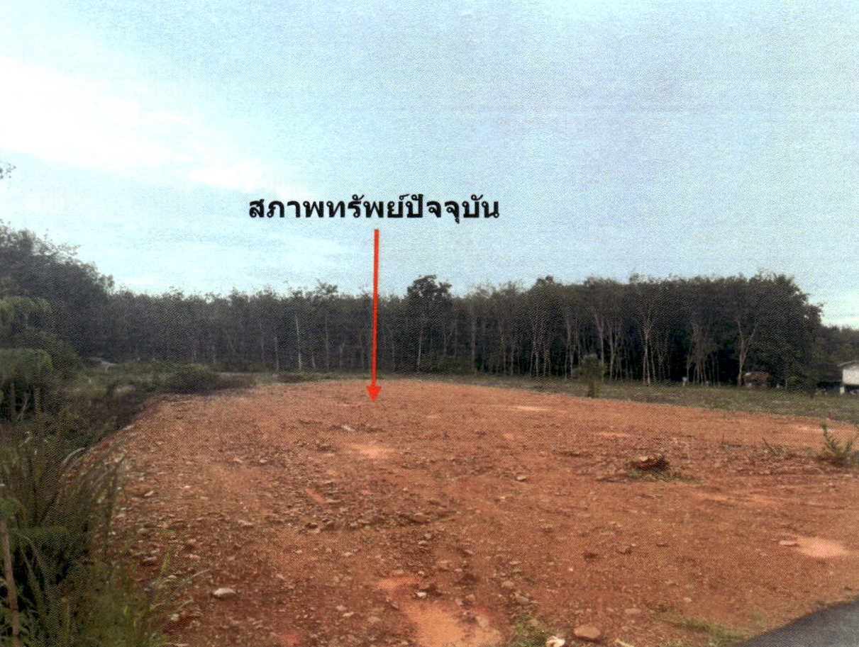 รูปที่ดินว่างเปล่า สะพานไม้แก่น จะนะ สงขลา