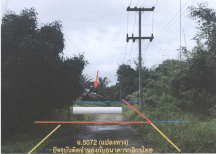 รูปที่ดินพร้อมสิ่งปลูกสร้าง เหมาะ กะปง พังงา