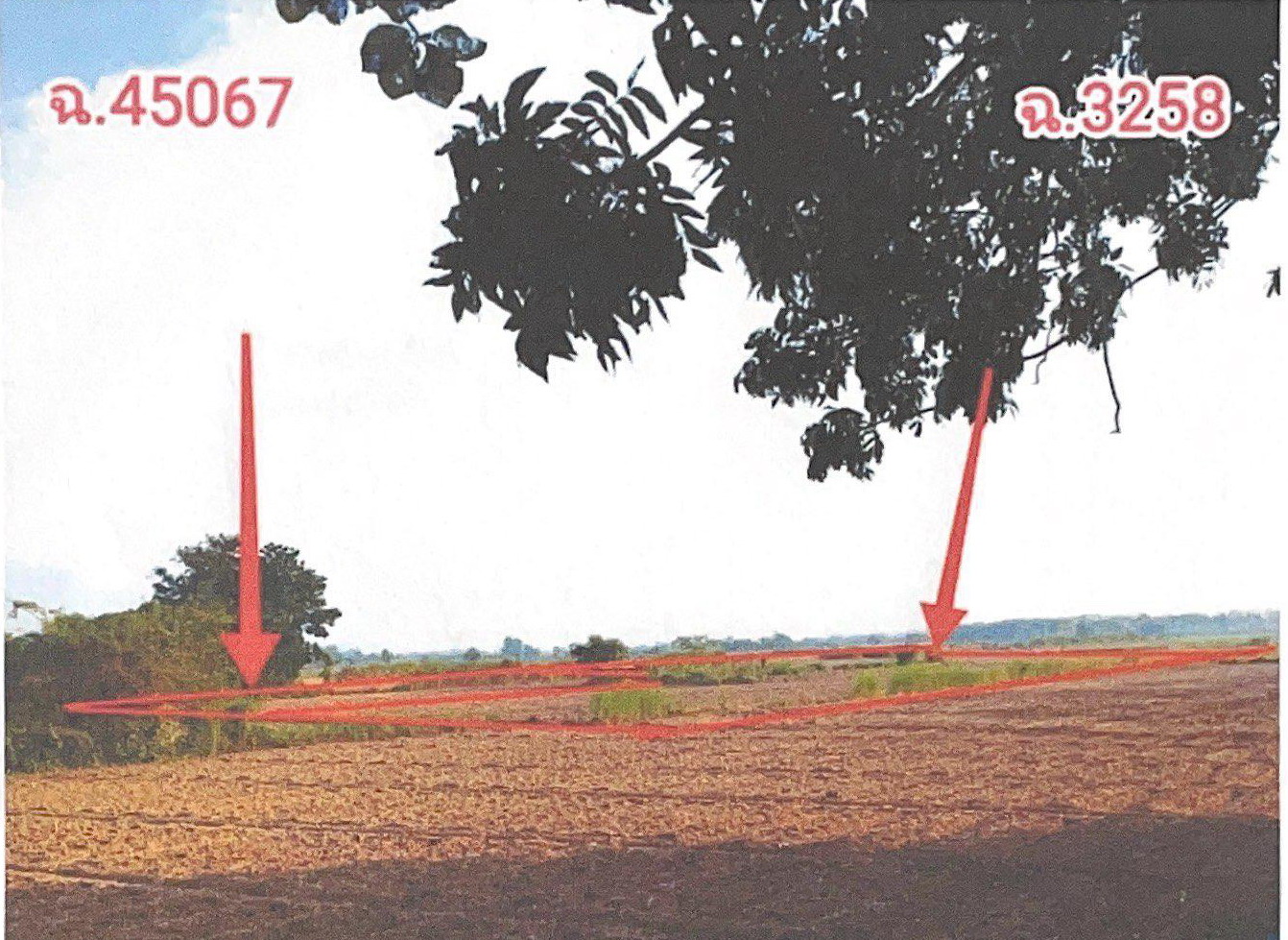 รูปที่ดินว่างเปล่า เกาะตาเลี้ยง ศรีสำโรง สุโขทัย