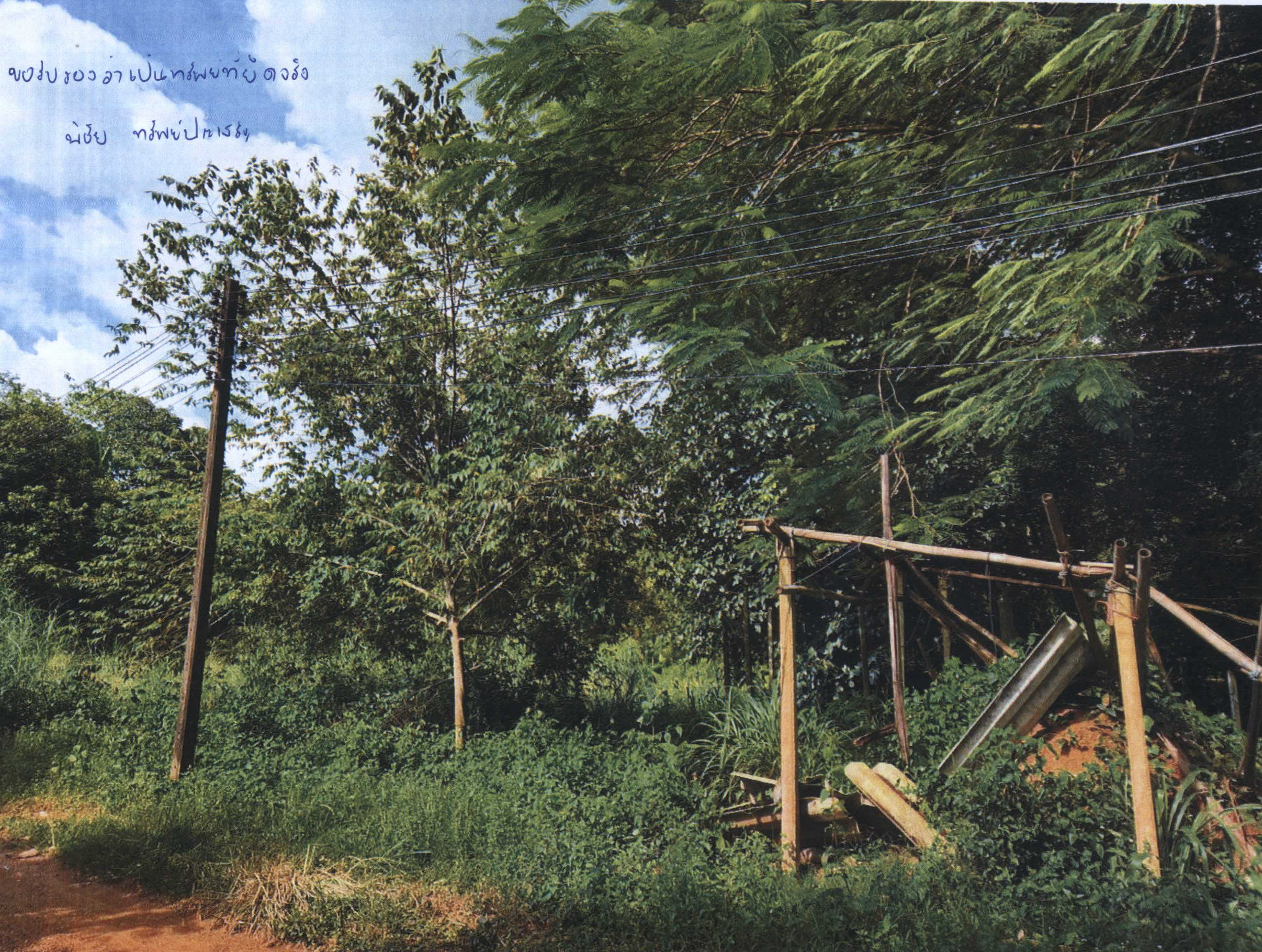รูปที่ดินว่างเปล่า เขาแก้ว ท่าใหม่ จันทบุรี
