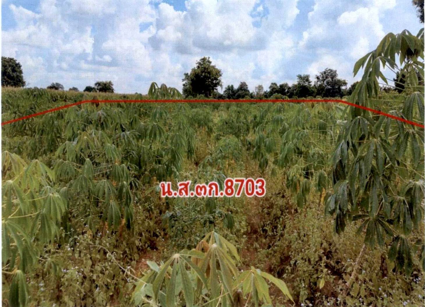 รูปที่ดินว่างเปล่า ตะคุ ปักธงชัย นครราชสีมา