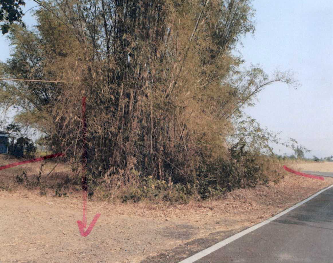 รูปที่ดินว่างเปล่า สะแกราบ โคกสำโรง ลพบุรี