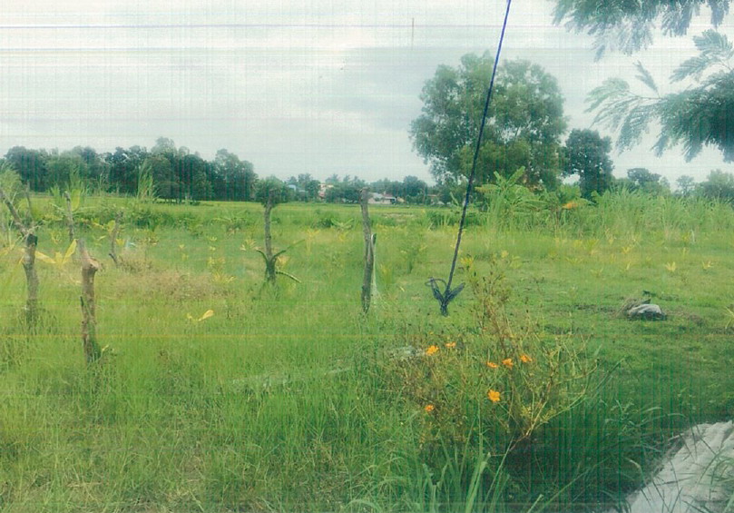 รูปที่ดินว่างเปล่า หนองเทพ รัตนบุรี สุรินทร์