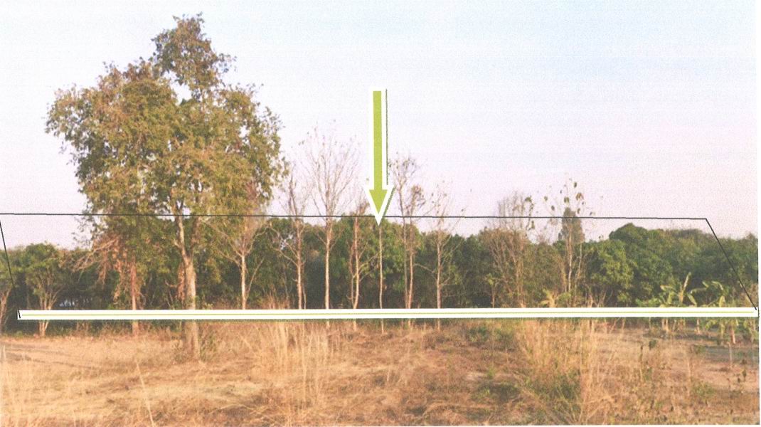 รูปที่ดินว่างเปล่า โคกปีบ ศรีมโหสถ ปราจีนบุรี