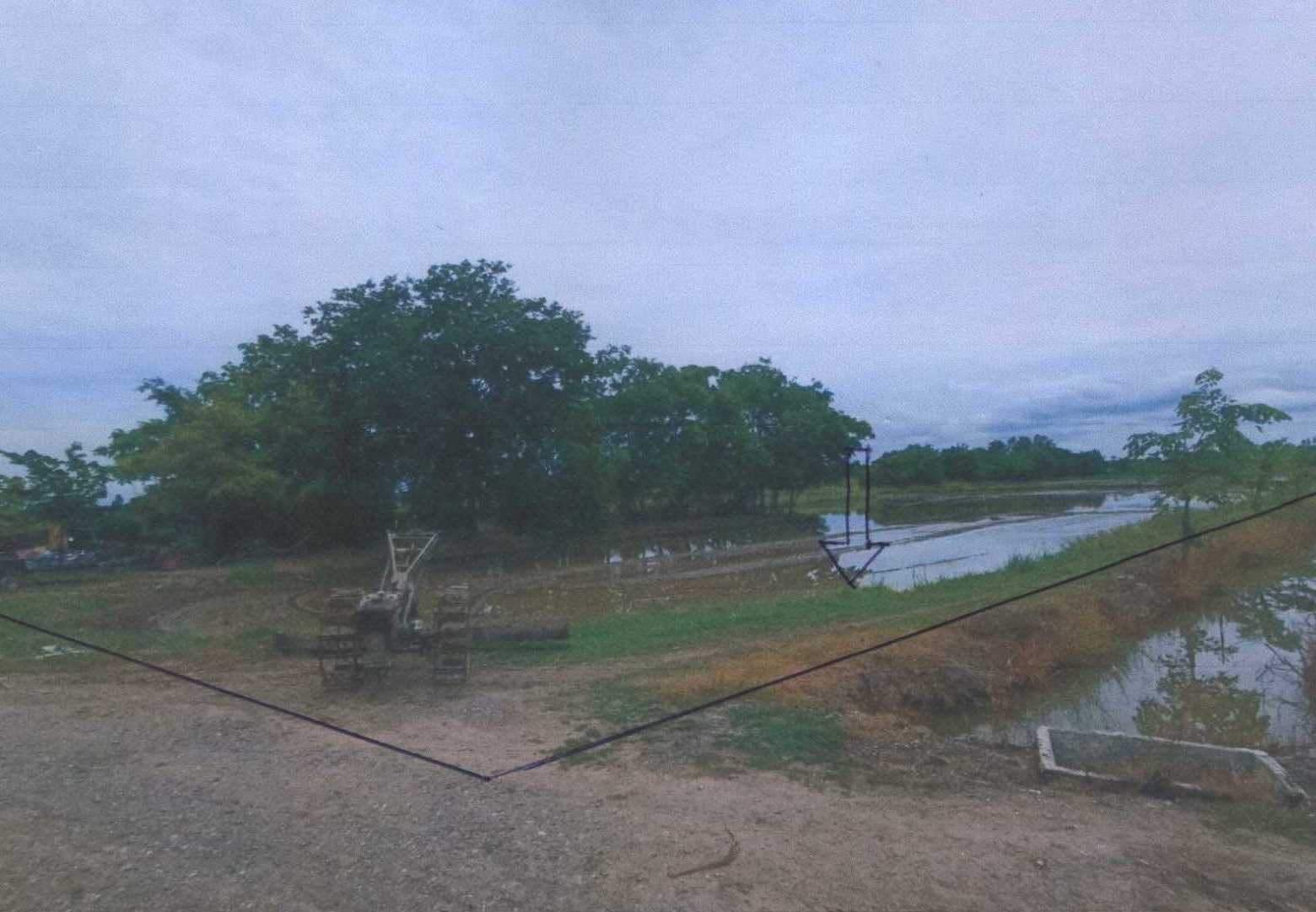 รูปที่ดินว่างเปล่า หนองเต่า เก้าเลี้ยว นครสวรรค์