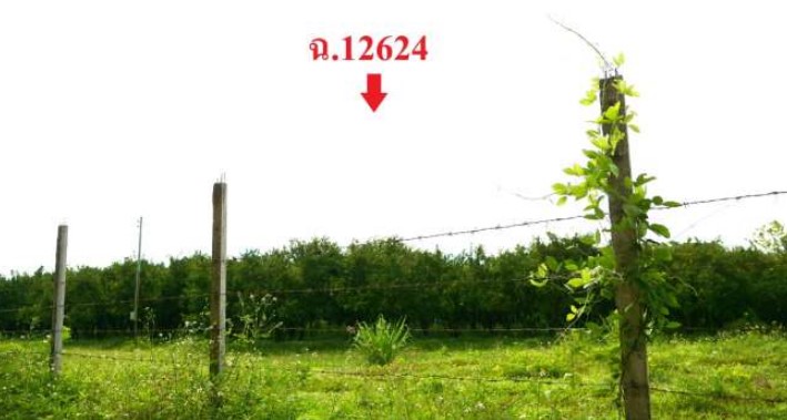 รูปที่ดินว่างเปล่า ท่าตอน แม่อาย เชียงใหม่