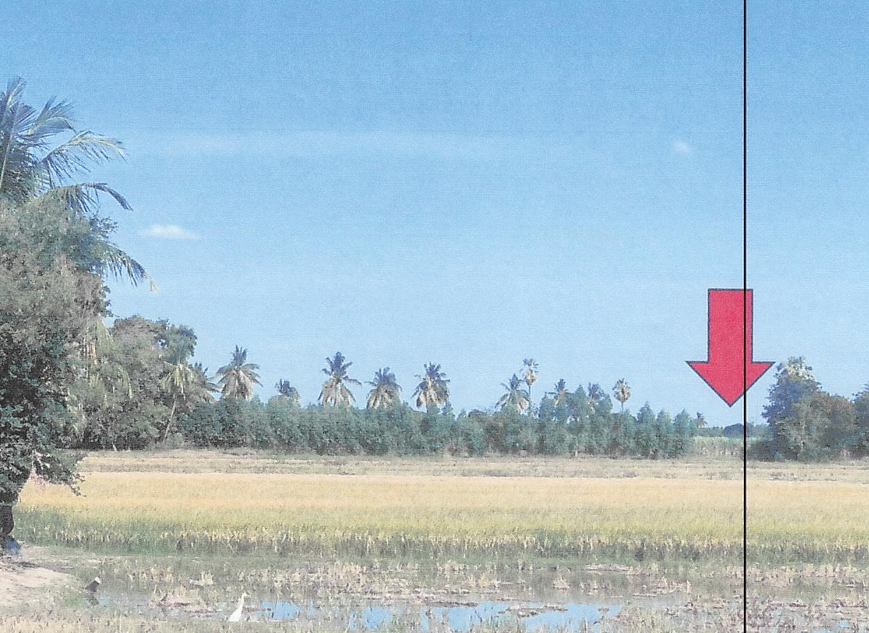 รูปที่ดินว่างเปล่า โพงาม สรรคบุรี ชัยนาท