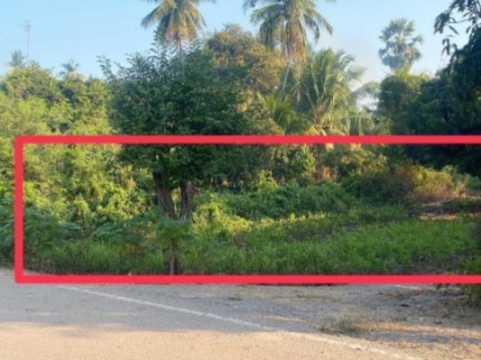 รูปที่ดินว่างเปล่า บางไผ่ บางมูลนาก พิจิตร